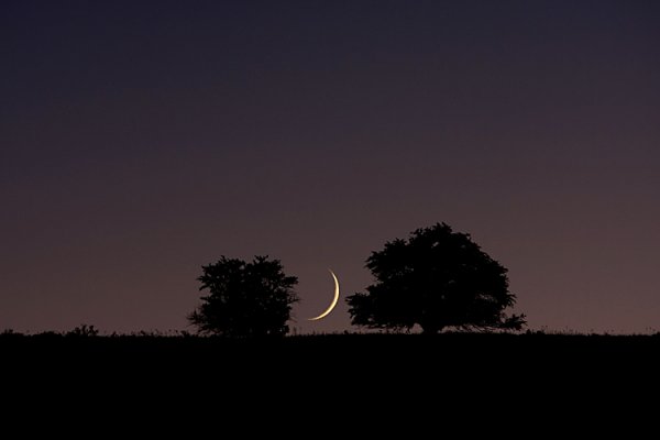 Кракен ссылка тор