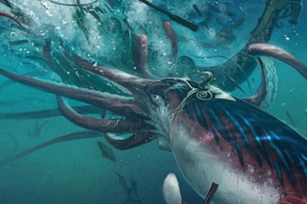 Магазины котиков